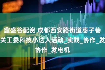 鑫盛谷配资 成都西安路街道枣子巷社区关工委科技小达人活动_实践_协作_发电机