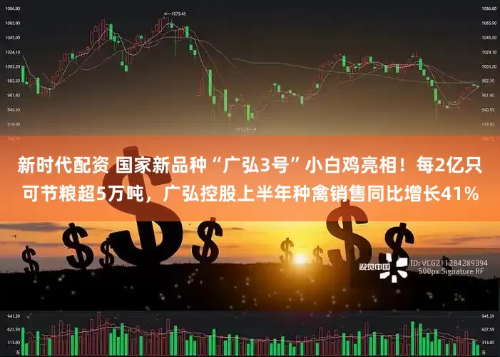新时代配资 国家新品种“广弘3号”小白鸡亮相！每2亿只可节粮超5万吨，广弘控股上半年种禽销售同比增长41%